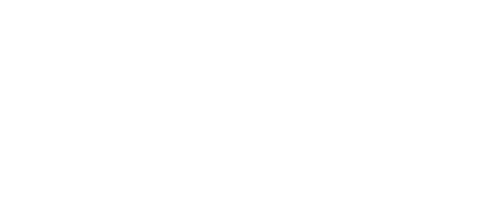 Dispatch Now